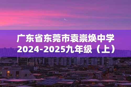 广东省东莞市袁崇焕中学2024-2025九年级（上）期中化学试卷（答案）