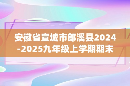 安徽省宣城市郎溪县2024-2025九年级上学期期末联合调研测试化学试卷(答案)