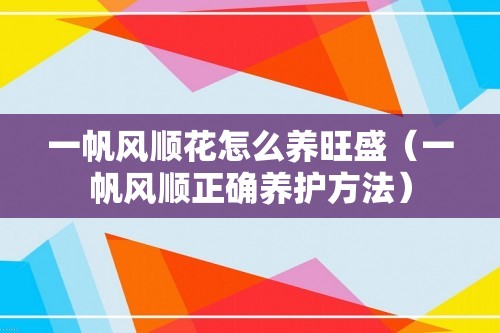 一帆风顺花怎么养旺盛（一帆风顺正确养护方法）