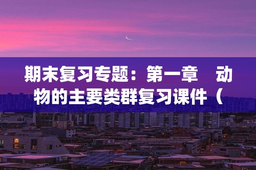 期末复习专题：第一章　动物的主要类群复习课件（共30张ppt）+专题练习（答案）2024-2025度人教版生物学八年级上册