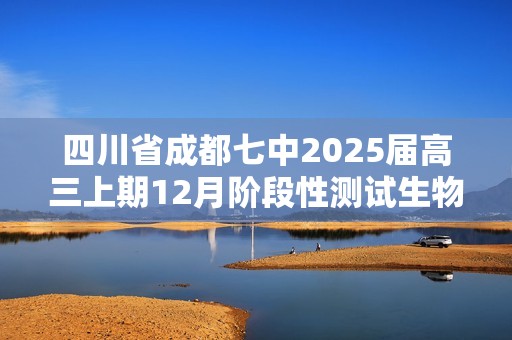 四川省成都七中2025届高三上期12月阶段性测试生物试卷（答案）