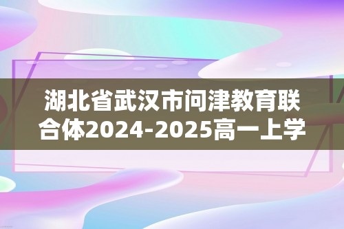 湖北省武汉市问津教育联合体2024-2025高一上学期12月月考化学 （图片版含答案）