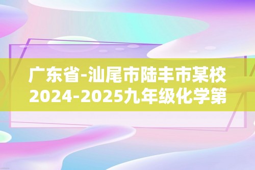 广东省-汕尾市陆丰市某校2024-2025九年级化学第一学期第三次月考试卷（答案）