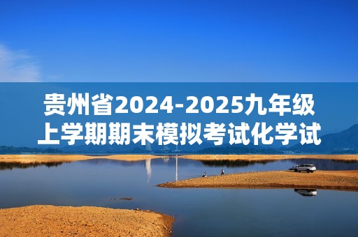 贵州省2024-2025九年级上学期期末模拟考试化学试卷（答案）