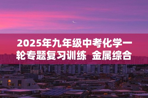 2025年九年级中考化学一轮专题复习训练  金属综合复习（6分含答案）