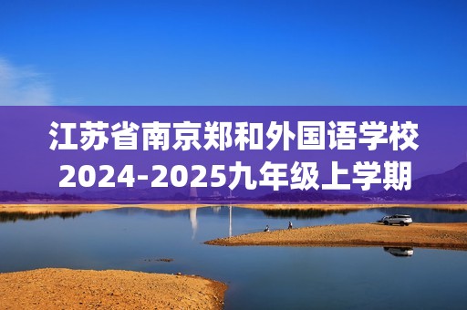 江苏省南京郑和外国语学校2024-2025九年级上学期限时训练化学试卷7（月考）(答案)