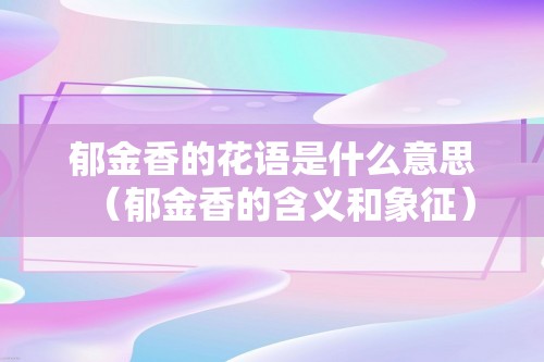 郁金香的花语是什么意思（郁金香的含义和象征）