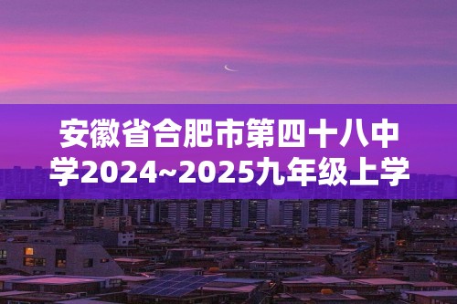 安徽省合肥市第四十八中学2024~2025九年级上学期期末模拟化学试题（答案）