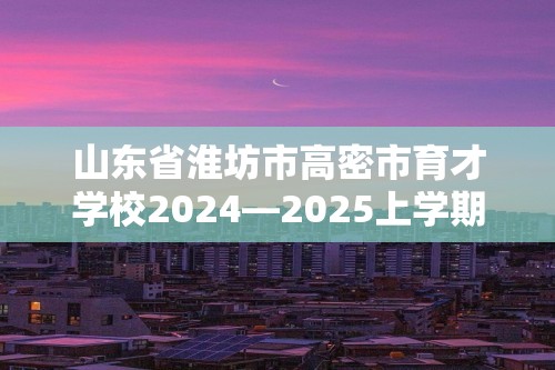 山东省淮坊市高密市育才学校2024—2025上学期12月阶段检测九年级数学试题（无答案）