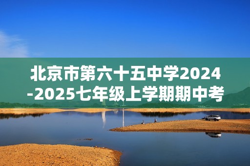 北京市第六十五中学2024-2025七年级上学期期中考试数学试卷（无答案）