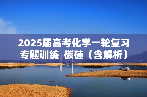 2025届高考化学一轮复习专题训练  碳硅（含解析）