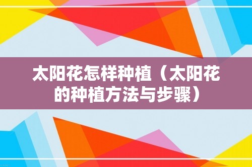 太阳花怎样种植（太阳花的种植方法与步骤）