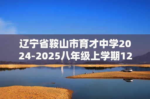 辽宁省鞍山市育才中学2024-2025八年级上学期12月测试数学试题（图片版无答案）