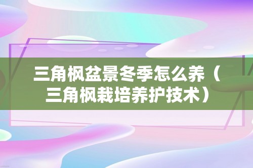 三角枫盆景冬季怎么养（三角枫栽培养护技术）