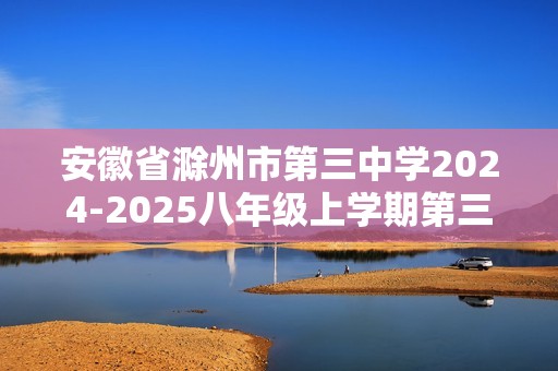 安徽省滁州市第三中学2024-2025八年级上学期第三次月考数学试题（无答案）