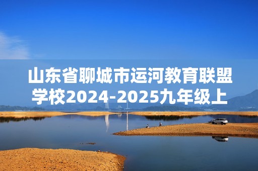 山东省聊城市运河教育联盟学校2024-2025九年级上学期第二次学情调研化学试卷（图片版含答案）