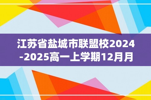 江苏省盐城市联盟校2024-2025高一上学期12月月考化学（pdf含答案）