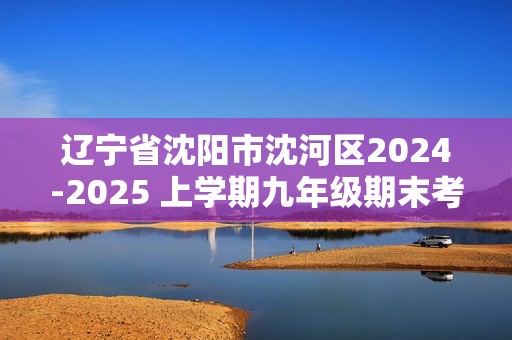 辽宁省沈阳市沈河区2024-2025 上学期九年级期末考试数学试卷（图片版无答案）