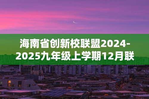 海南省创新校联盟2024-2025九年级上学期12月联考化学试卷（图片版含答案）