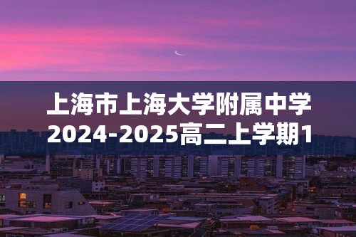 上海市上海大学附属中学2024-2025高二上学期12月测试 化学试题（答案）