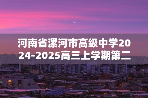 河南省漯河市高级中学2024-2025高三上学期第二次月考化学试题（答案）