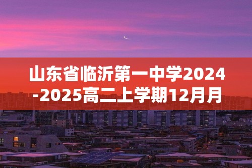 山东省临沂第一中学2024-2025高二上学期12月月考 化学试题（答案）