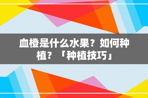 血橙是什么水果？如何种植？「种植技巧」