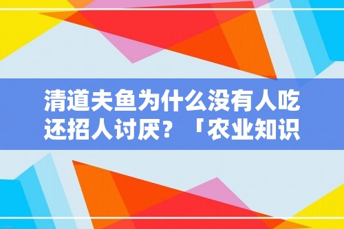 清道夫鱼为什么没有人吃还招人讨厌？「农业知识」