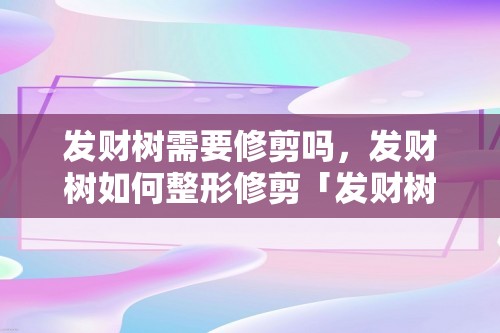 发财树需要修剪吗，发财树如何整形修剪「发财树」