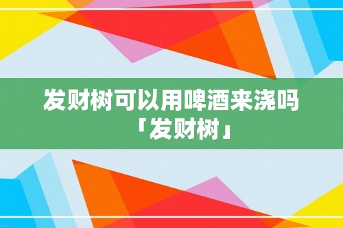 发财树可以用啤酒来浇吗「发财树」