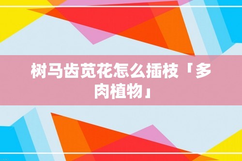 树马齿苋花怎么插枝「多肉植物」