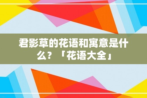 君影草的花语和寓意是什么？「花语大全」