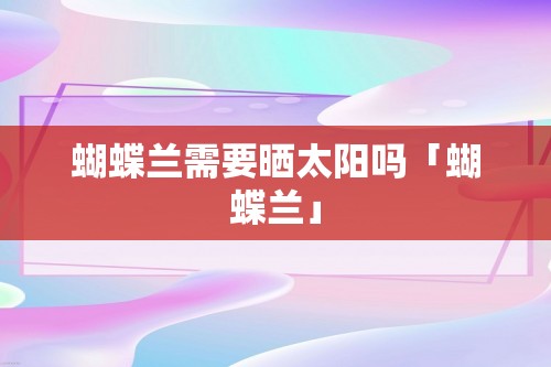 蝴蝶兰需要晒太阳吗「蝴蝶兰」