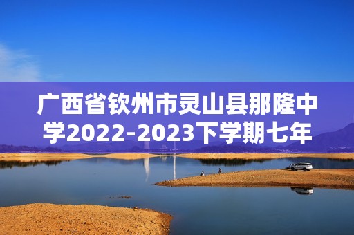 广西省钦州市灵山县那隆中学2022-2023下学期七年级期中历史（无答案）