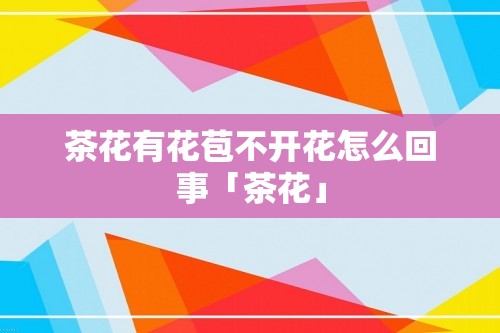 茶花有花苞不开花怎么回事「茶花」