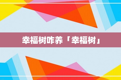 幸福树咋养「幸福树」