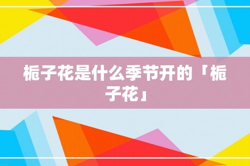 栀子花是什么季节开的「栀子花」