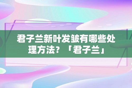 君子兰新叶发皱有哪些处理方法？「君子兰」