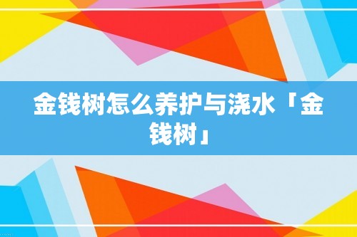 金钱树怎么养护与浇水「金钱树」