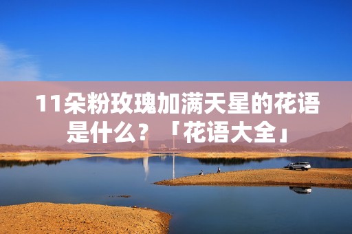 11朵粉玫瑰加满天星的花语是什么？「花语大全」