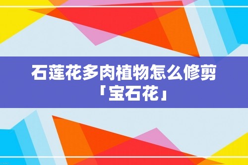 石莲花多肉植物怎么修剪「宝石花」