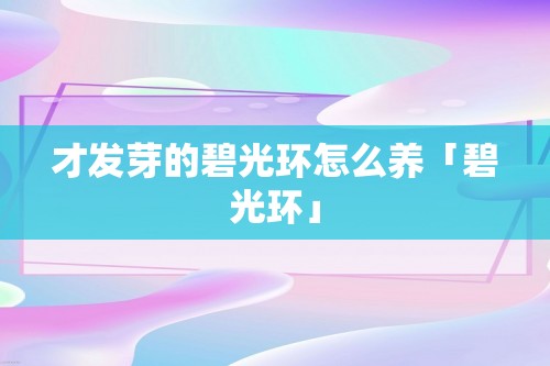 才发芽的碧光环怎么养「碧光环」