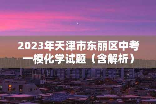 2023年天津市东丽区中考一模化学试题（含解析）