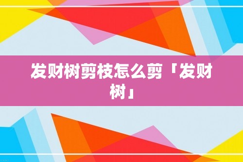 发财树剪枝怎么剪「发财树」