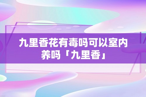 九里香花有毒吗可以室内养吗「九里香」