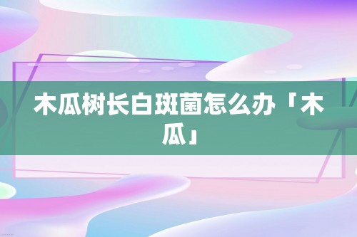 木瓜树长白斑菌怎么办「木瓜」