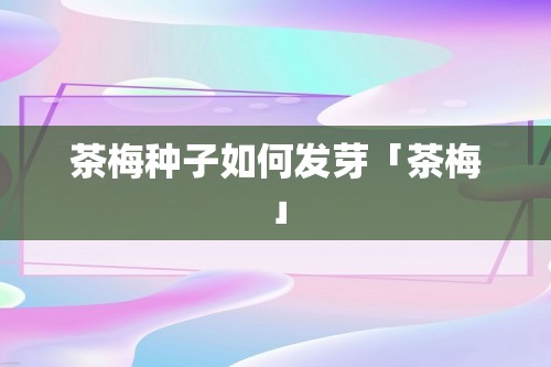 茶梅种子如何发芽「茶梅」