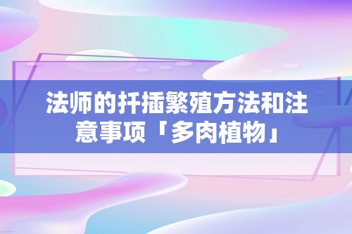 法师的扦插繁殖方法和注意事项「多肉植物」