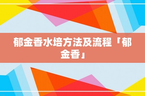 郁金香水培方法及流程「郁金香」