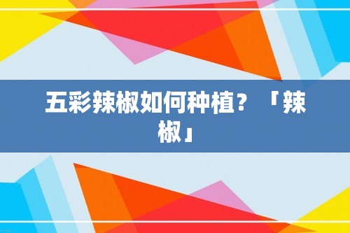 五彩辣椒如何种植？「辣椒」